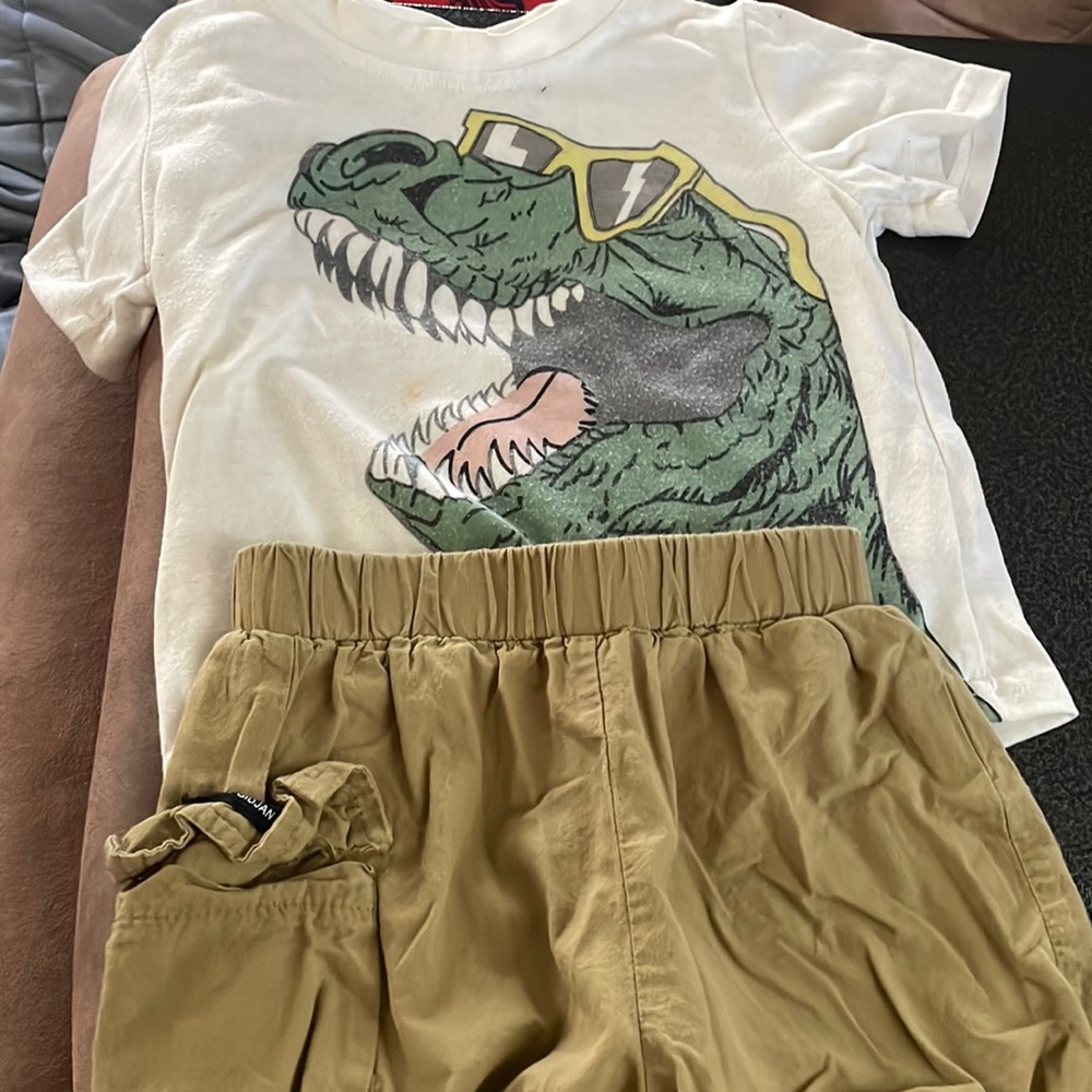 Dinosaur set